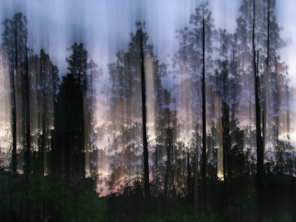 wind